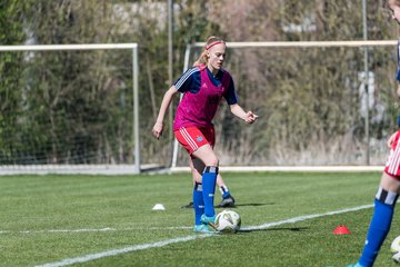 Bild 181 - wBJ Hamburger SV - WfL Wolfsburg : Ergebnis: 2:1